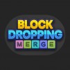Thumbnail game - Block Dropping Merge