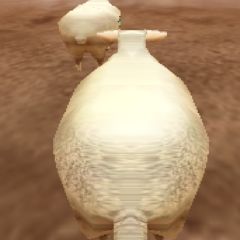 Crazy Cattle 3D