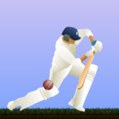 Little Master Cricket