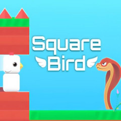 Square Bird