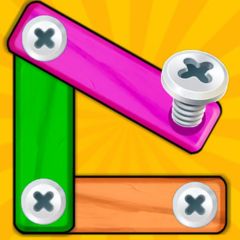 Woodnuts Bolts Puzzle